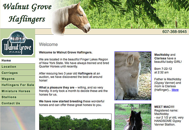 Walnut Grove Haflingers